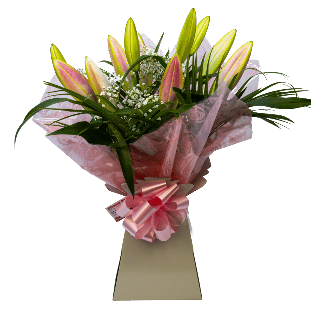 Beautiful bouquet of classic pink lilies in bud, wrapped in pink cellophane and presented in a living vase